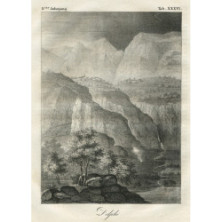 0239 DELPHI. Lithograph. Dimensions